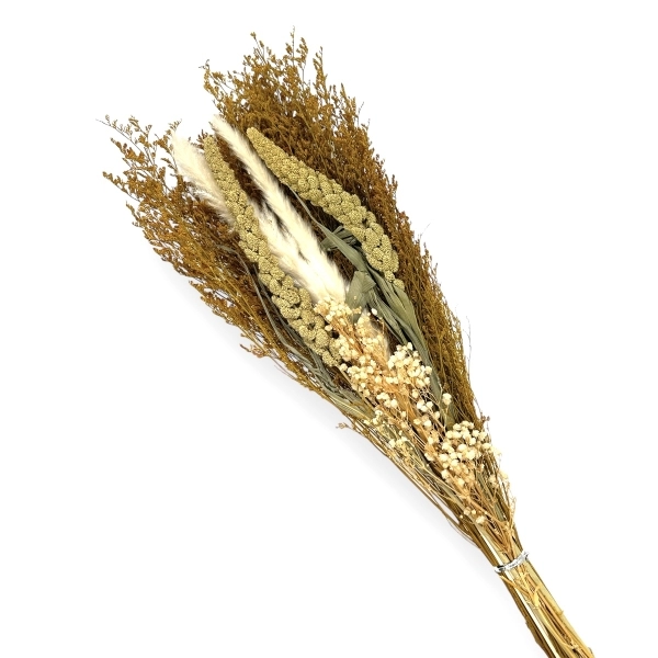 Buchet Plante Uscate Mixte 130g Galben/Natur​