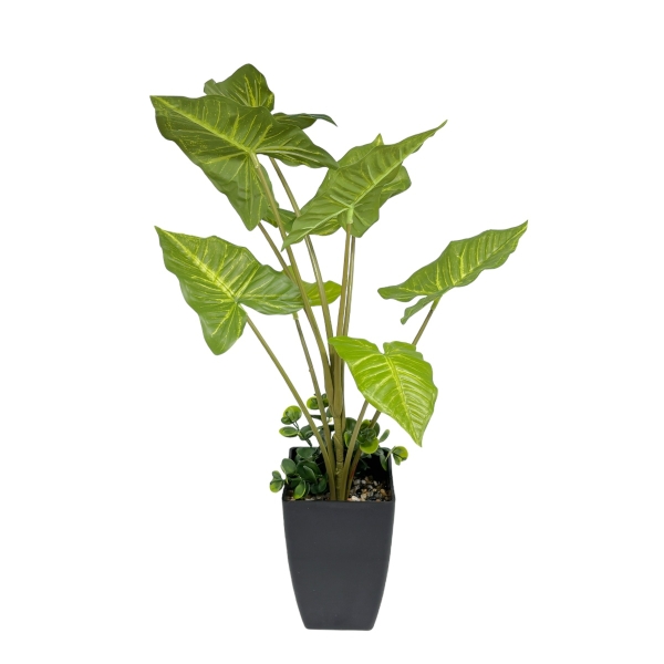 Planta Artificiala Colocasia 65CM