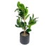 Planta Artificiala Ficus Microcarpa 67CM